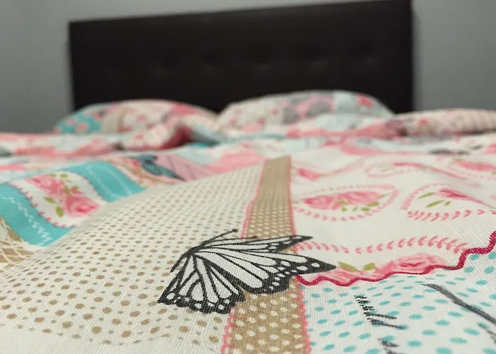 酒店 齐提奥雅酒店 2*