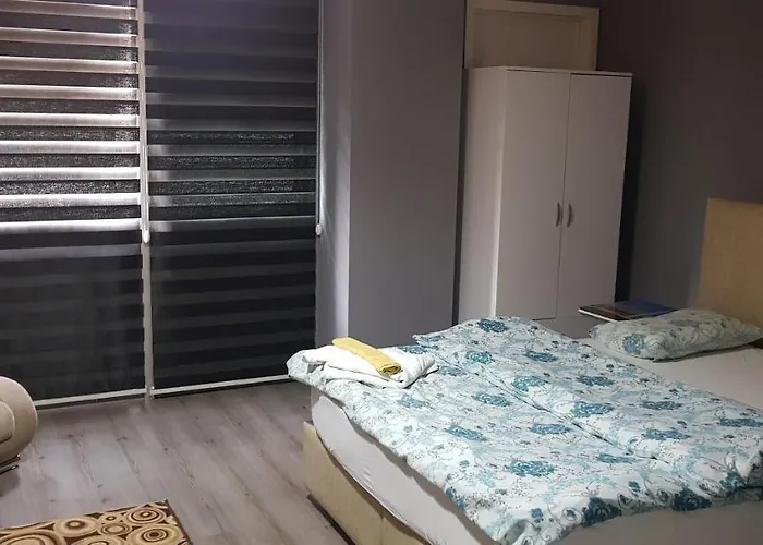 酒店 齐提奥雅酒店 伊斯坦布尔